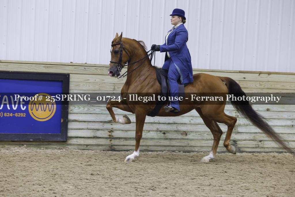 Proof 25SPRING_01724
