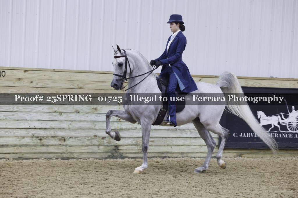 Proof 25SPRING_01725
