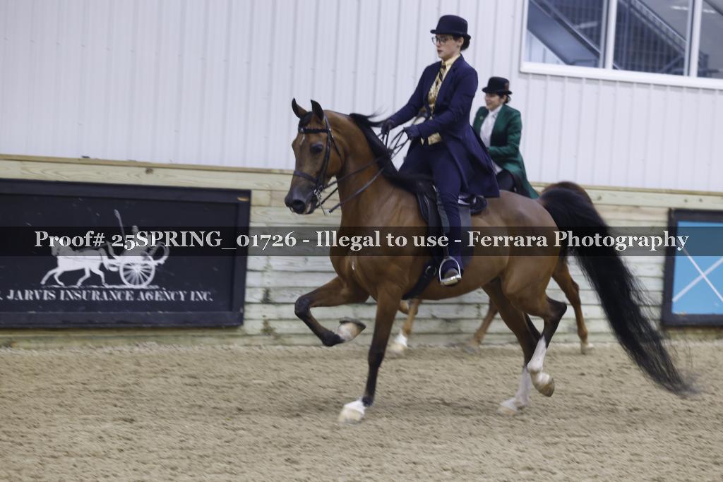 Proof 25SPRING_01726