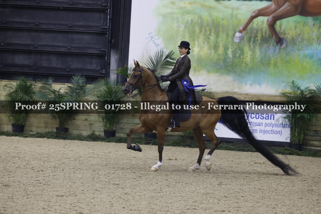 Proof 25SPRING_01728