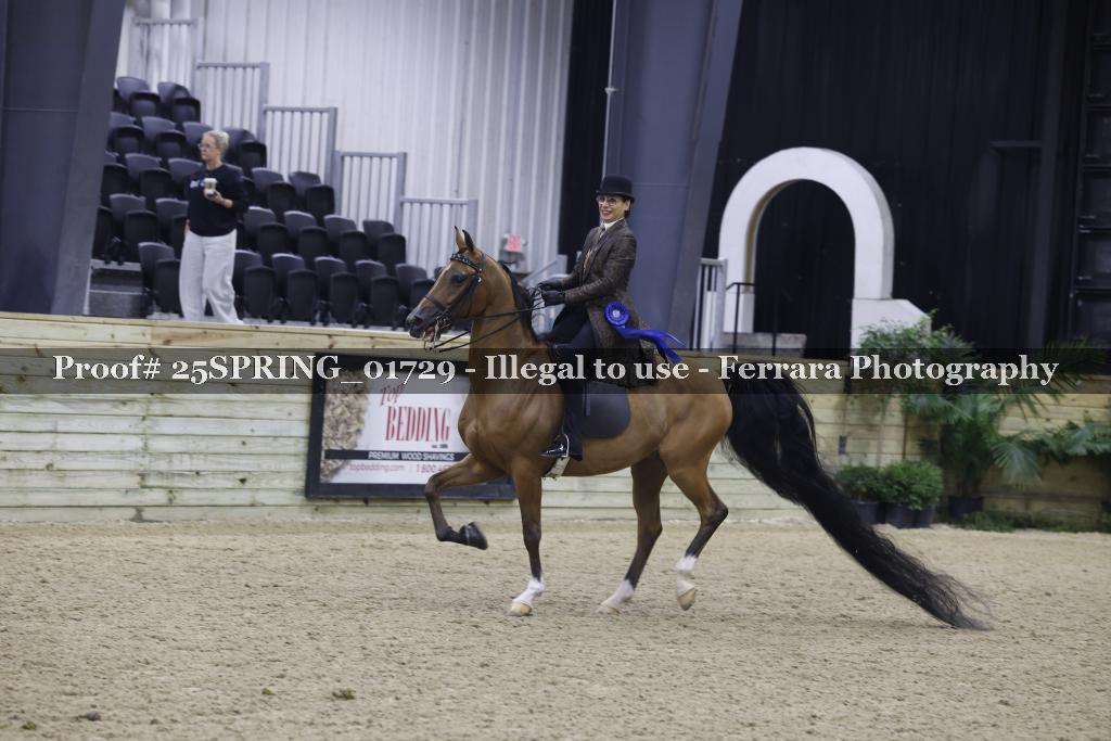Proof 25SPRING_01729