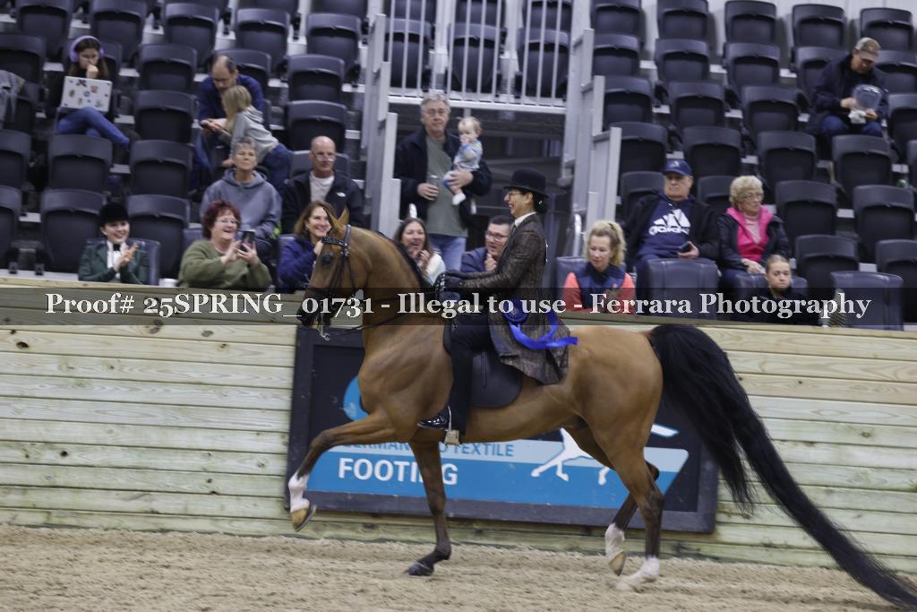 Proof 25SPRING_01731