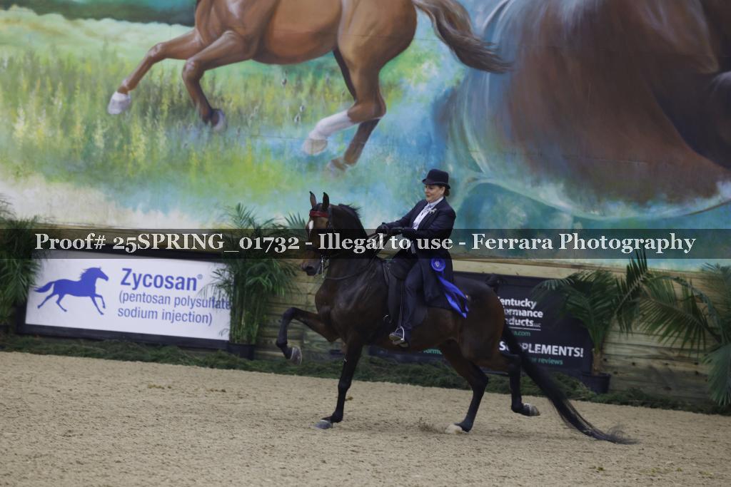 Proof 25SPRING_01732