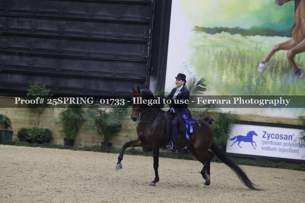 Proof 25SPRING_01733