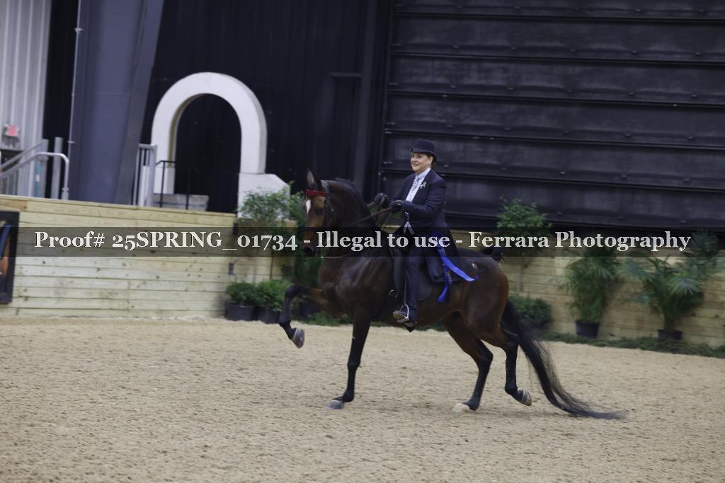 Proof 25SPRING_01734