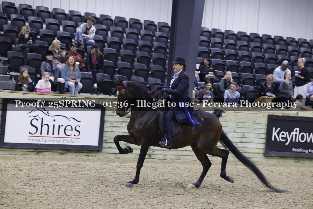 Proof 25SPRING_01736