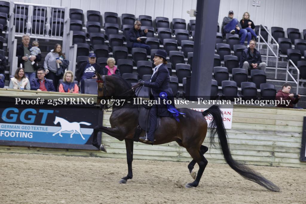 Proof 25SPRING_01737