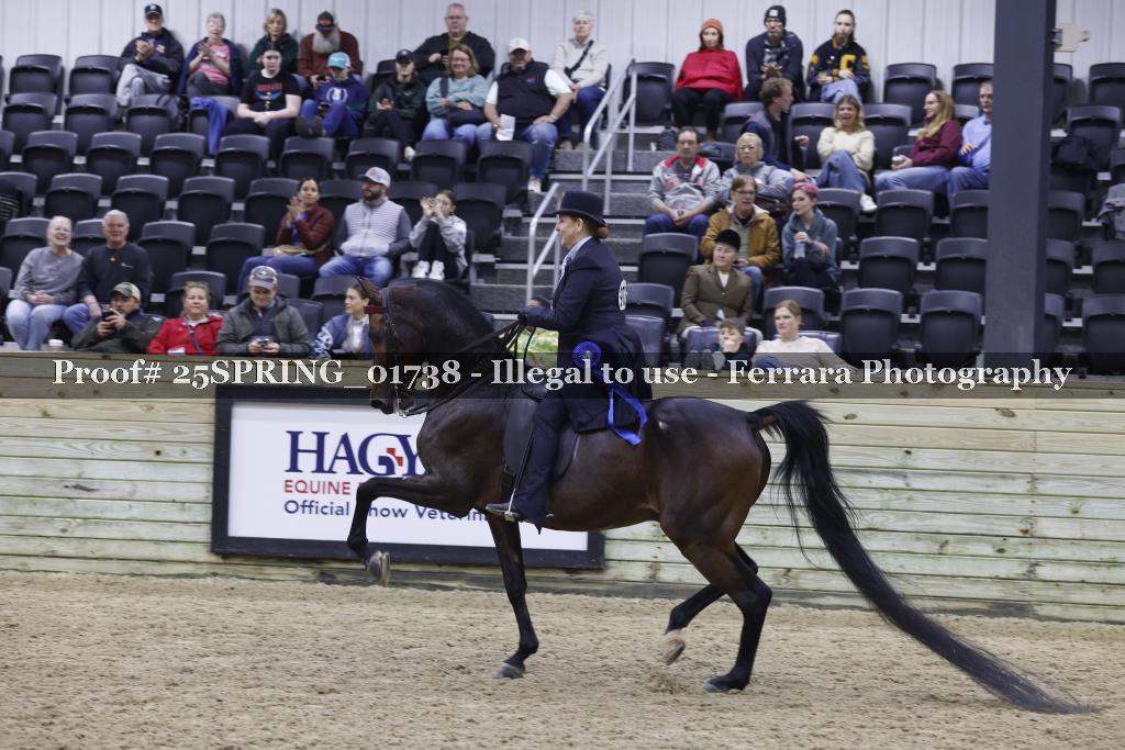 Proof 25SPRING_01738