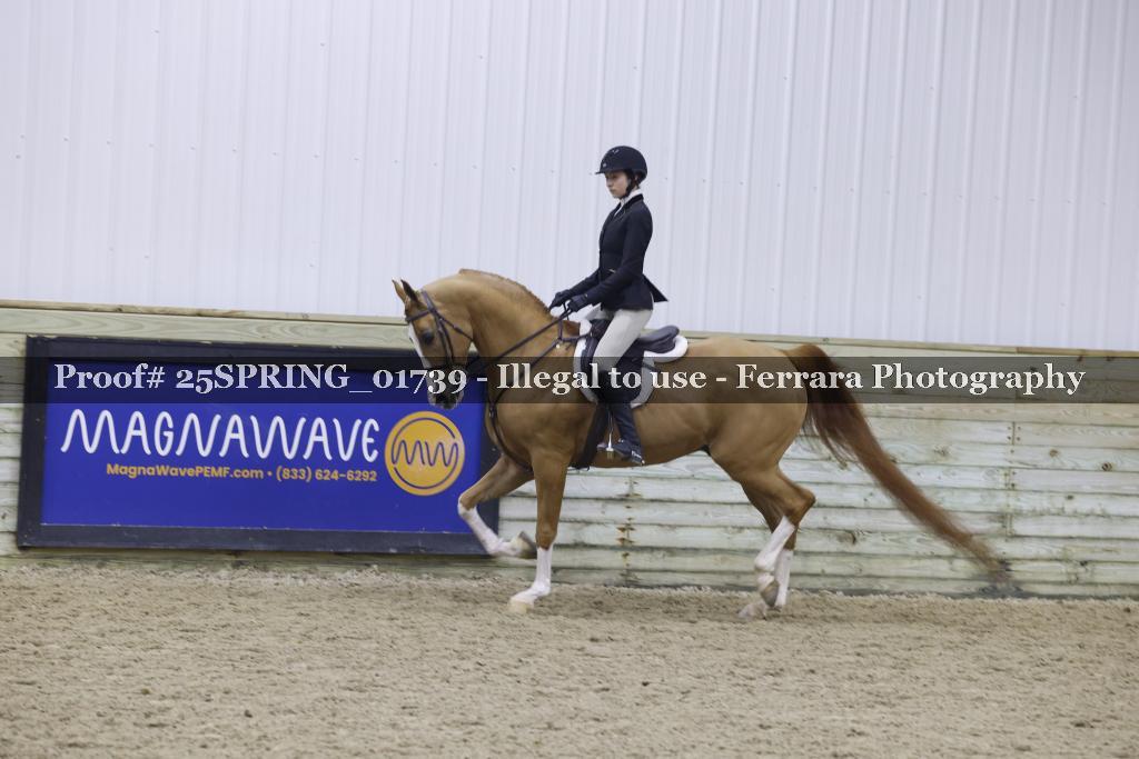 Proof 25SPRING_01739