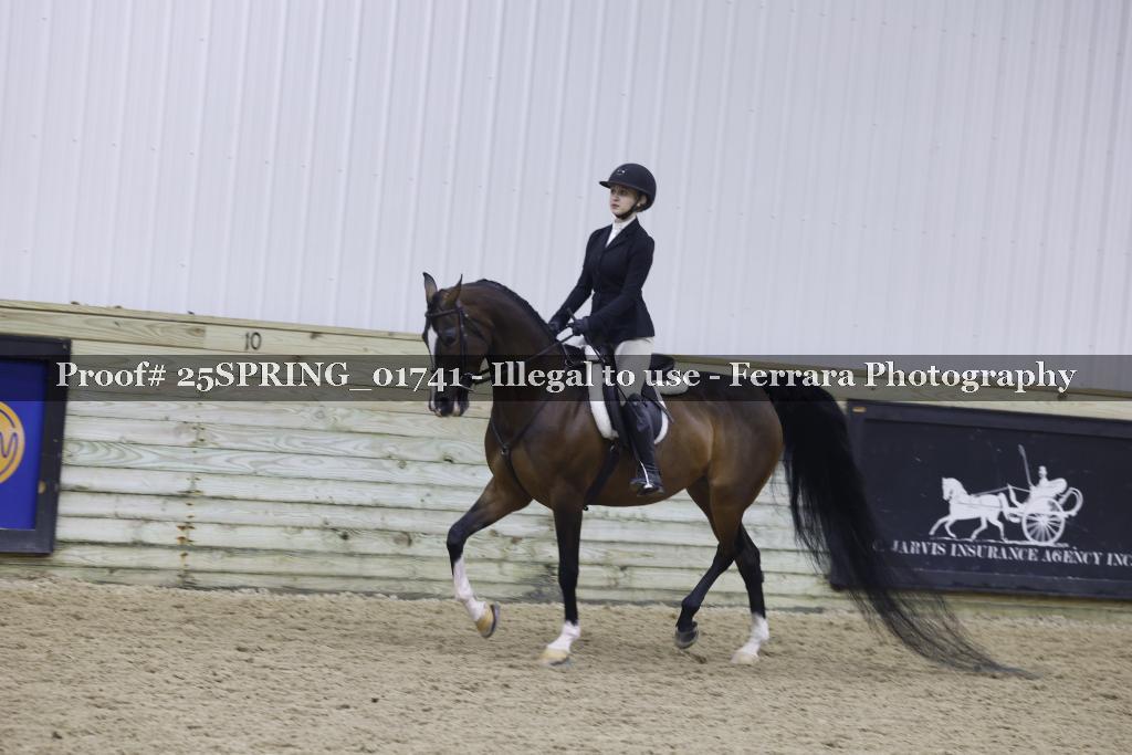Proof 25SPRING_01741
