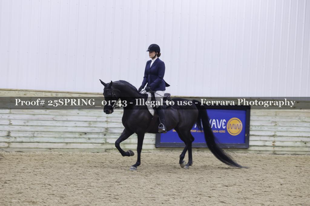 Proof 25SPRING_01743