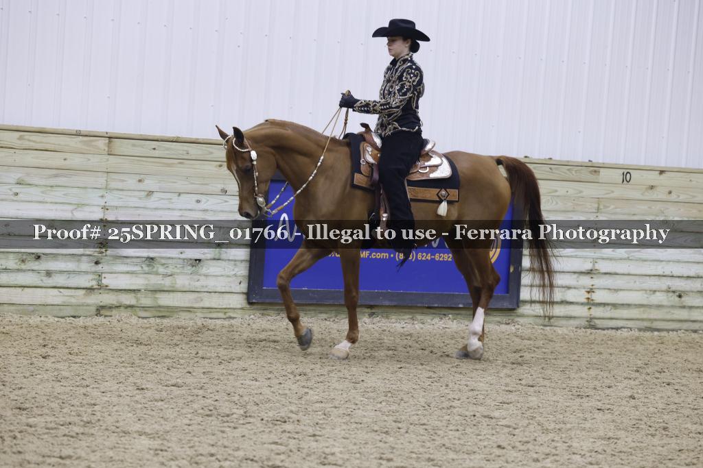 Proof 25SPRING_01766