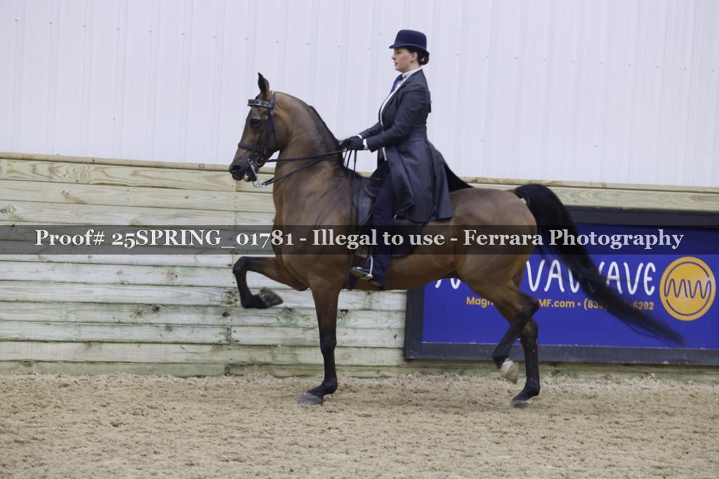 Proof 25SPRING_01781