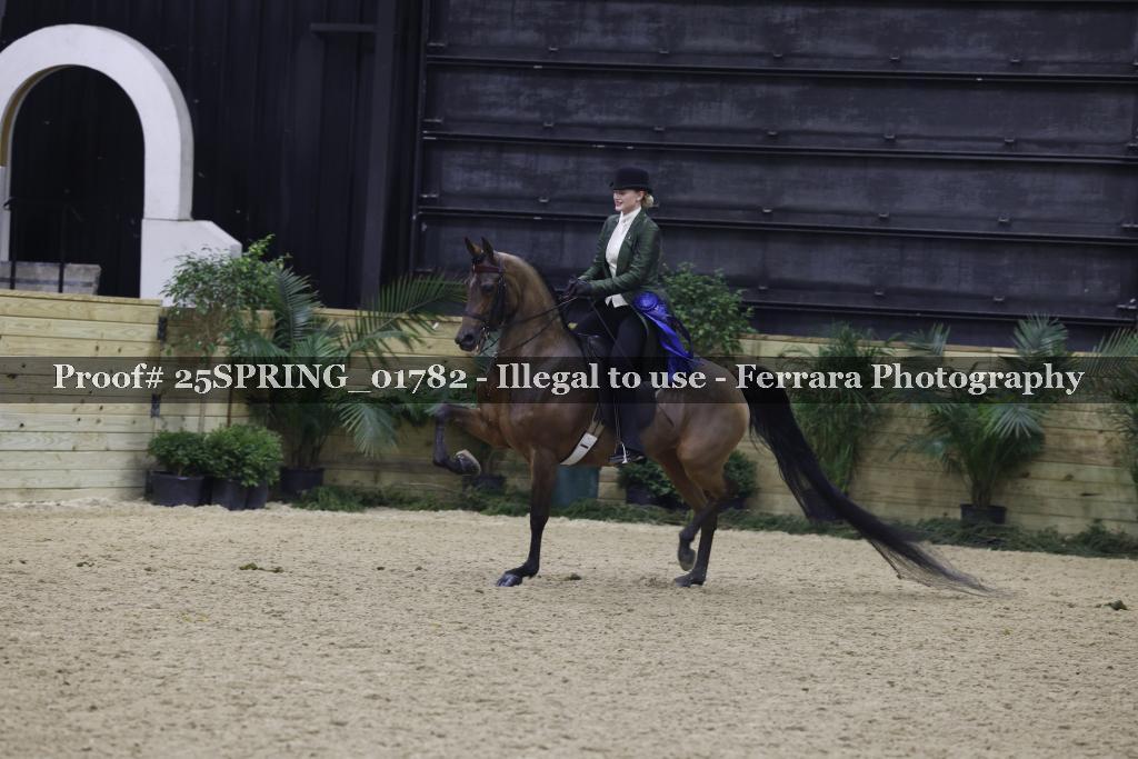 Proof 25SPRING_01782