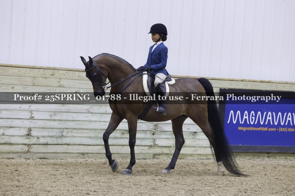 Proof 25SPRING_01788