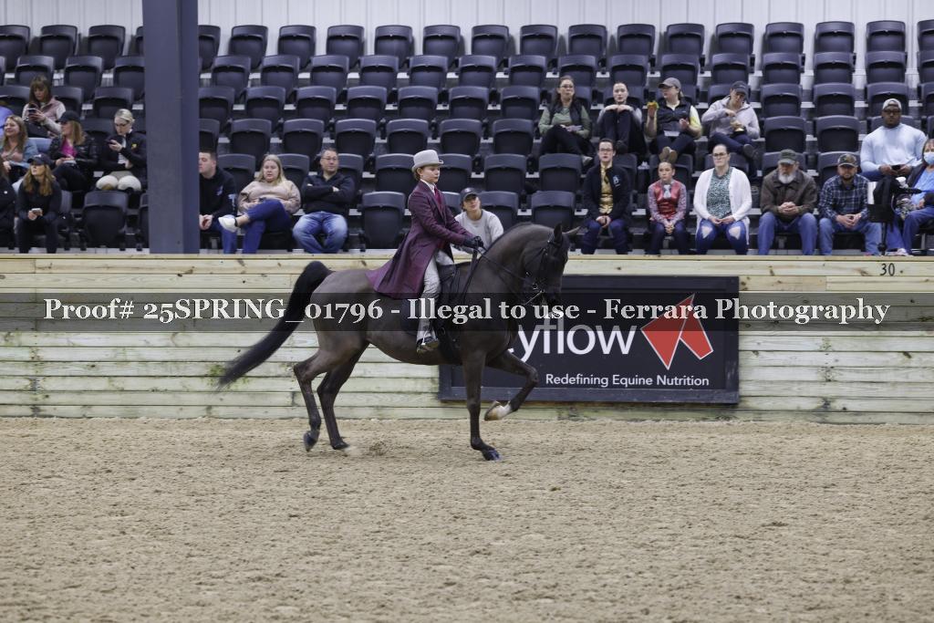Proof 25SPRING_01796