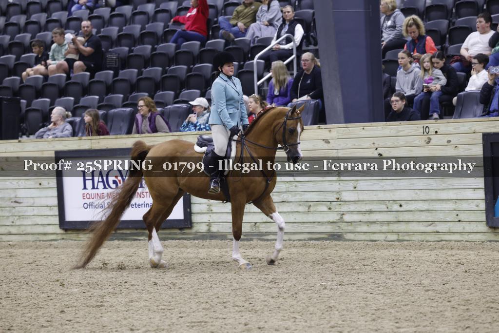 Proof 25SPRING_01799