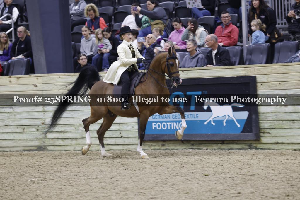 Proof 25SPRING_01800