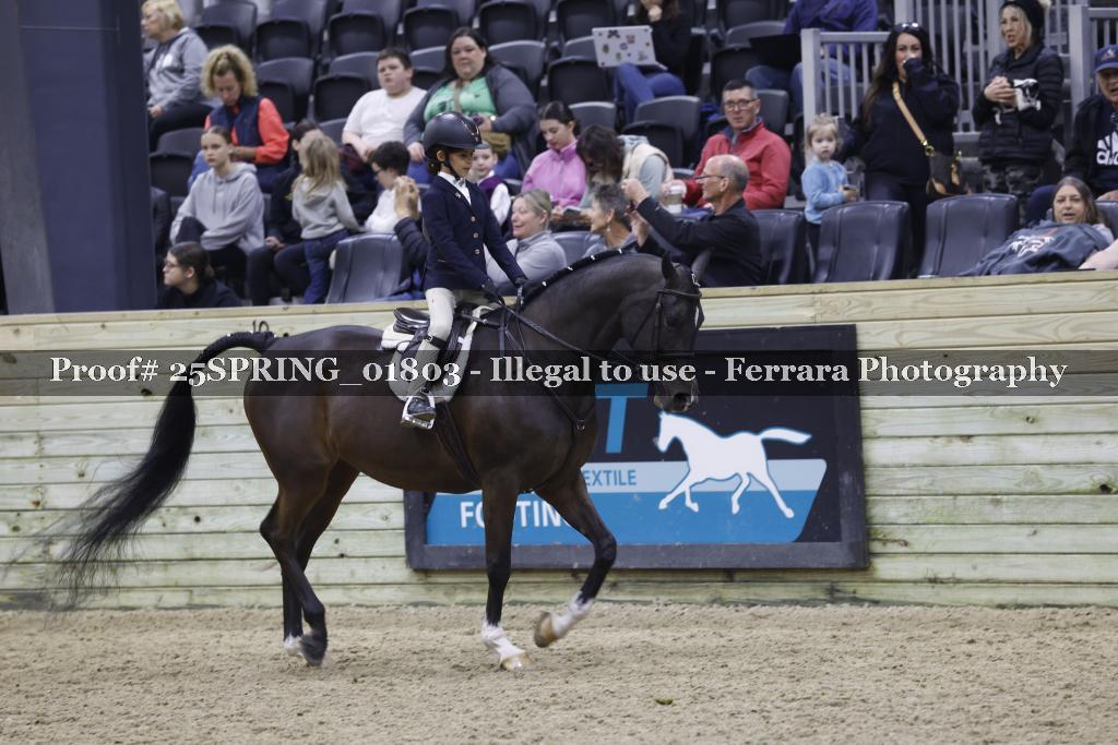 Proof 25SPRING_01803