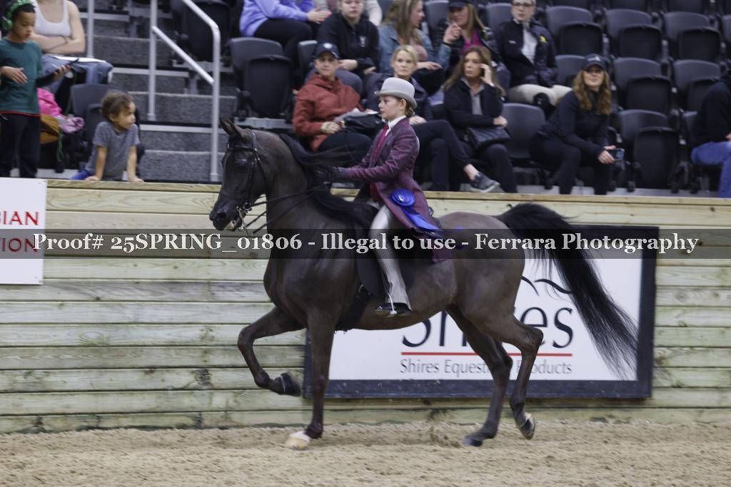 Proof 25SPRING_01806