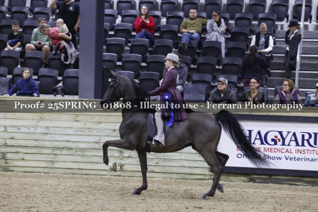 Proof 25SPRING_01808