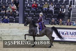 25SPRING_01808 proof