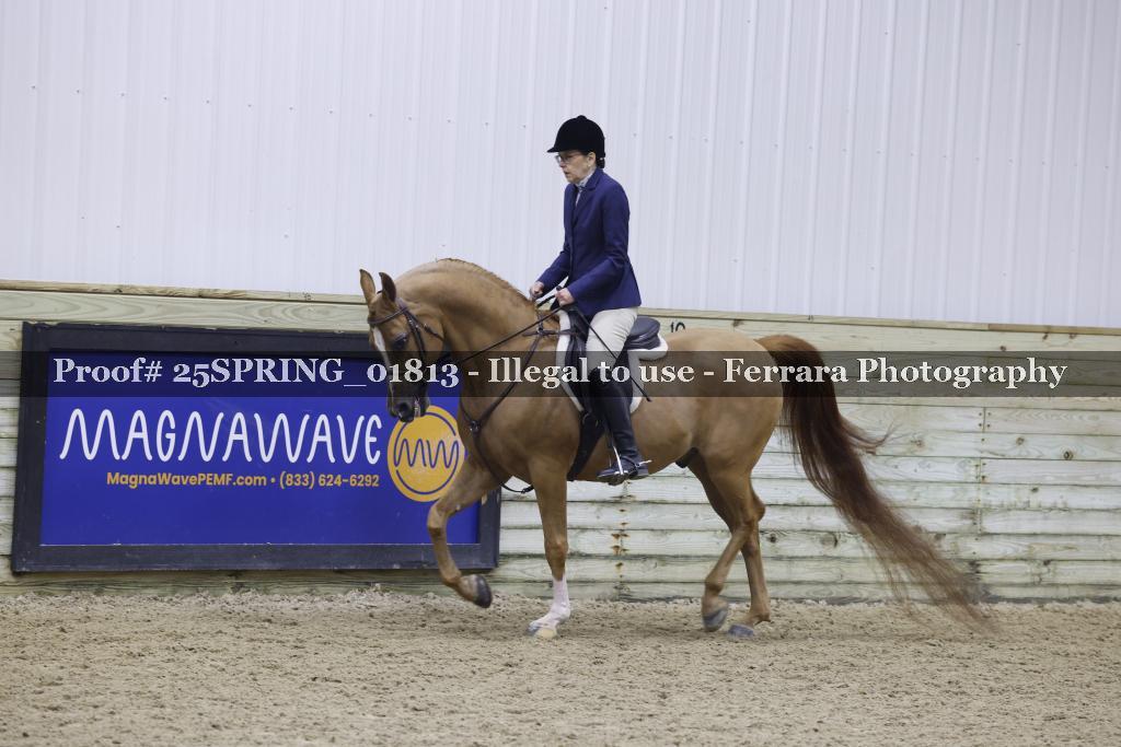 Proof 25SPRING_01813