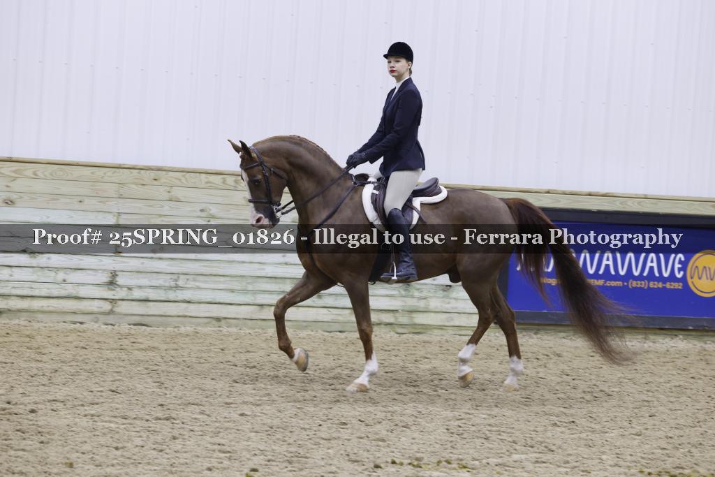 Proof 25SPRING_01826