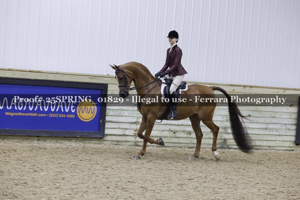 Proof 25SPRING_01829