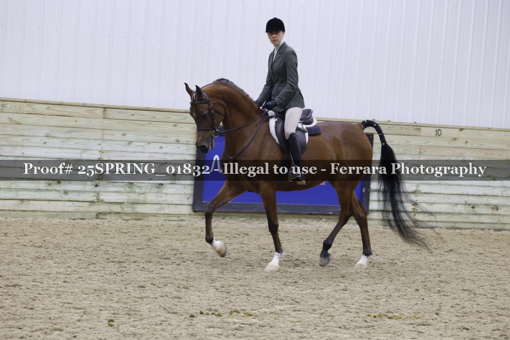 Proof 25SPRING_01832