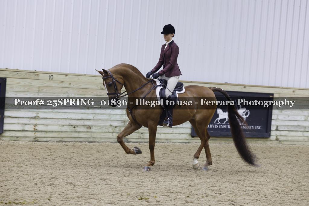 Proof 25SPRING_01836