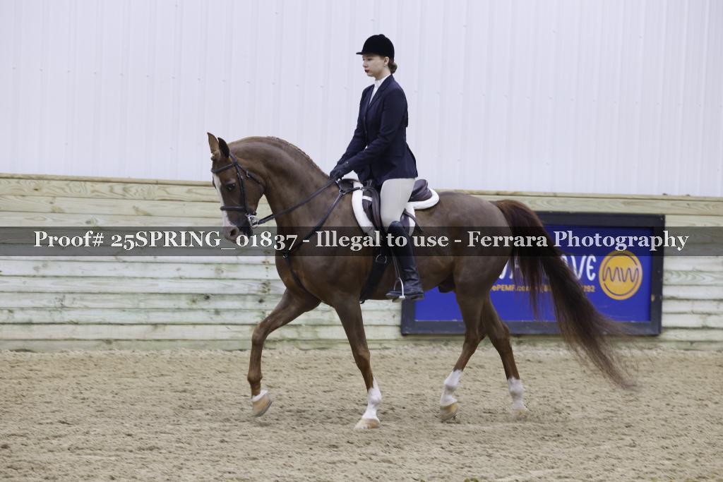 Proof 25SPRING_01837