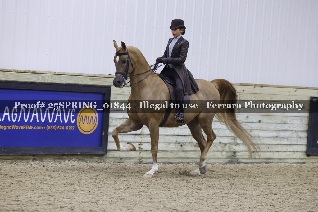 Proof 25SPRING_01844