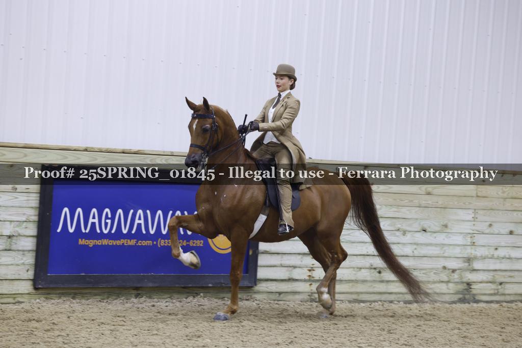 Proof 25SPRING_01845
