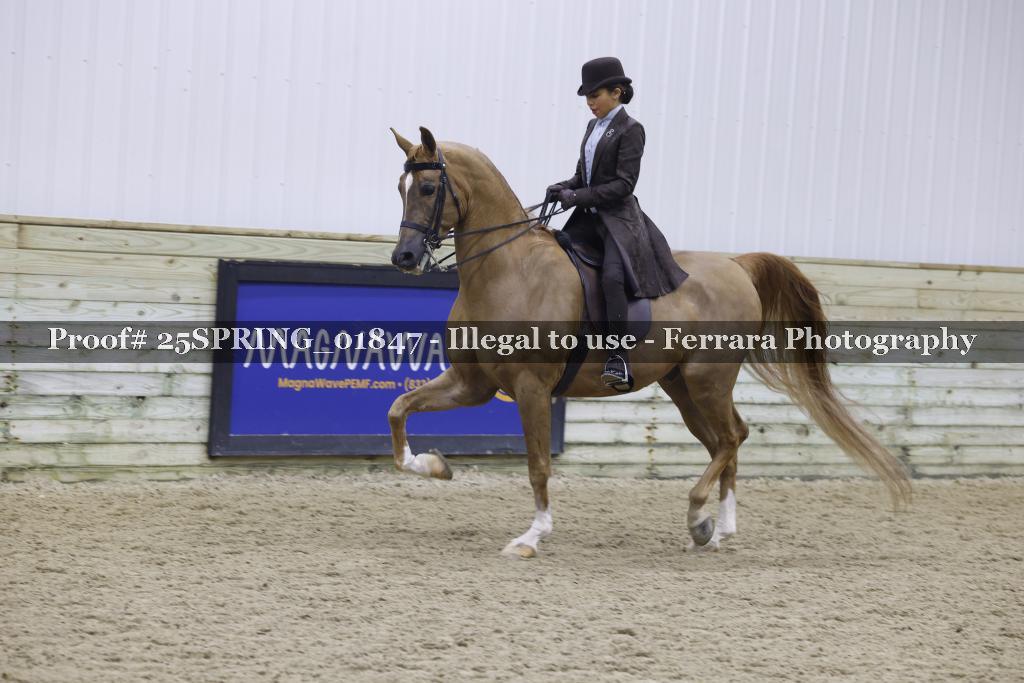 Proof 25SPRING_01847