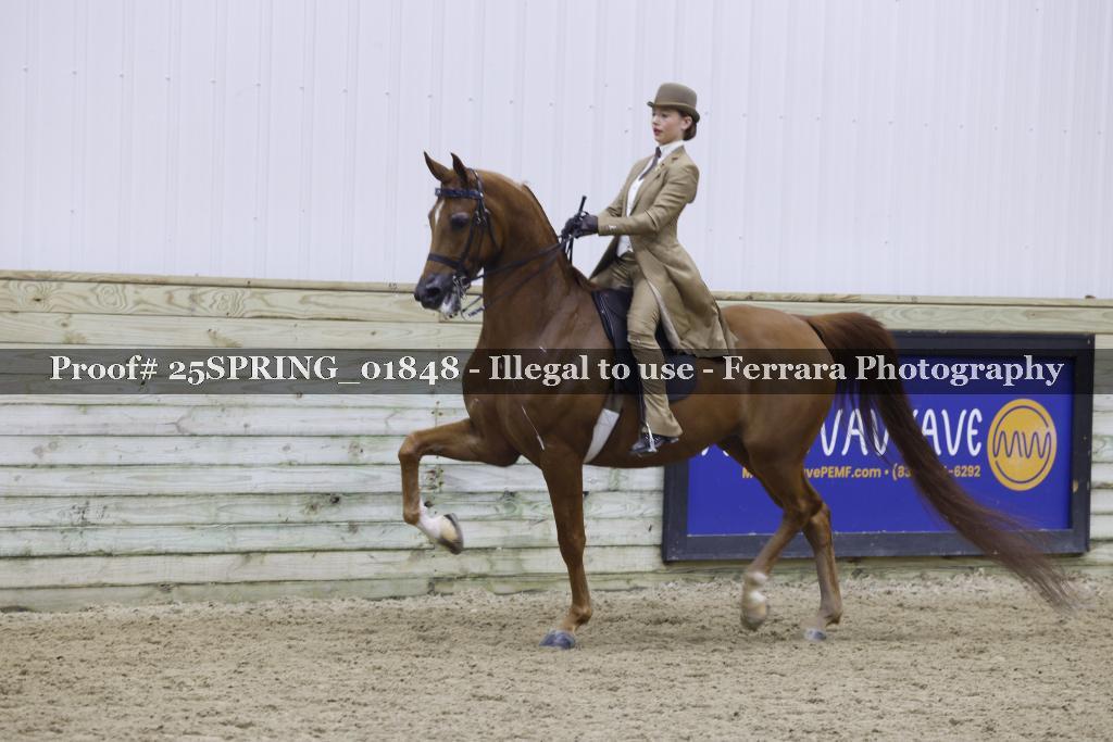 Proof 25SPRING_01848