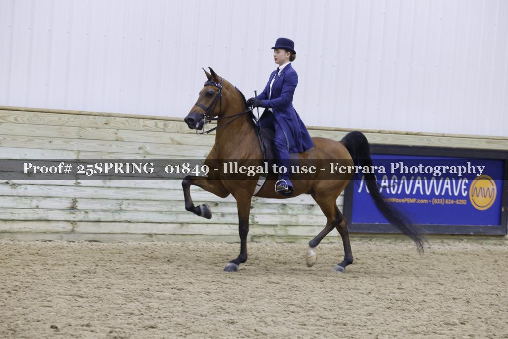 Proof 25SPRING_01849