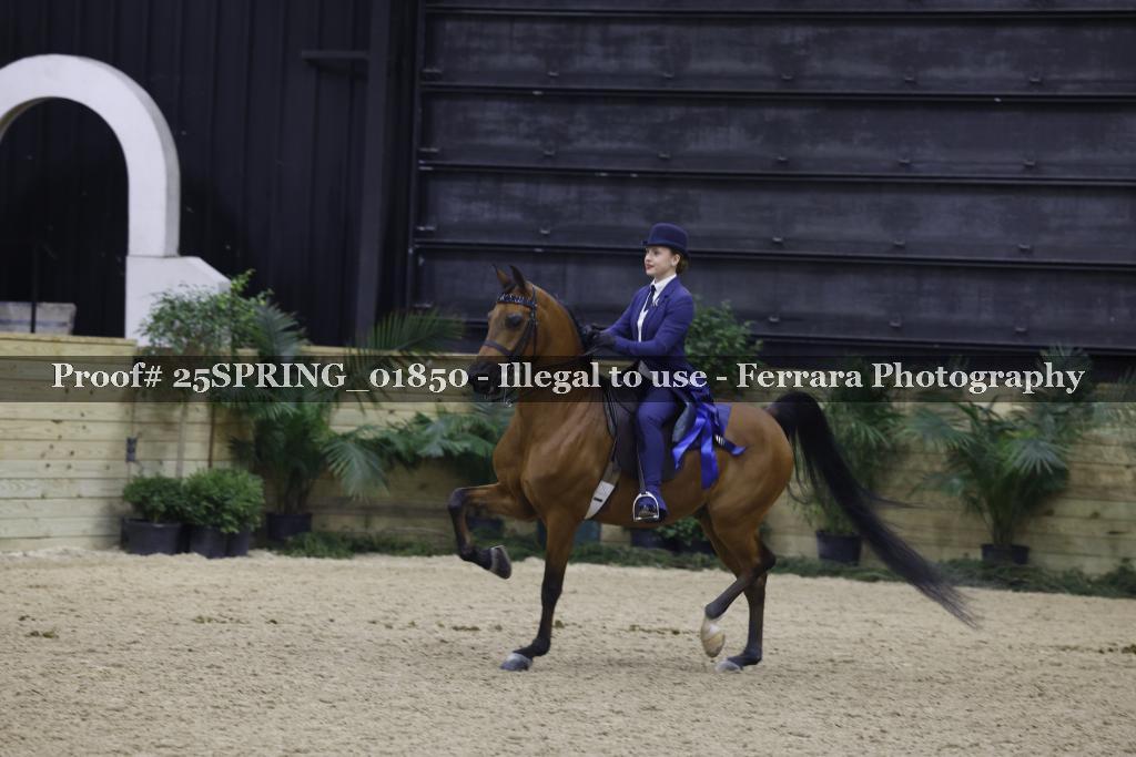 Proof 25SPRING_01850