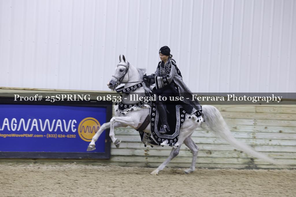 Proof 25SPRING_01853