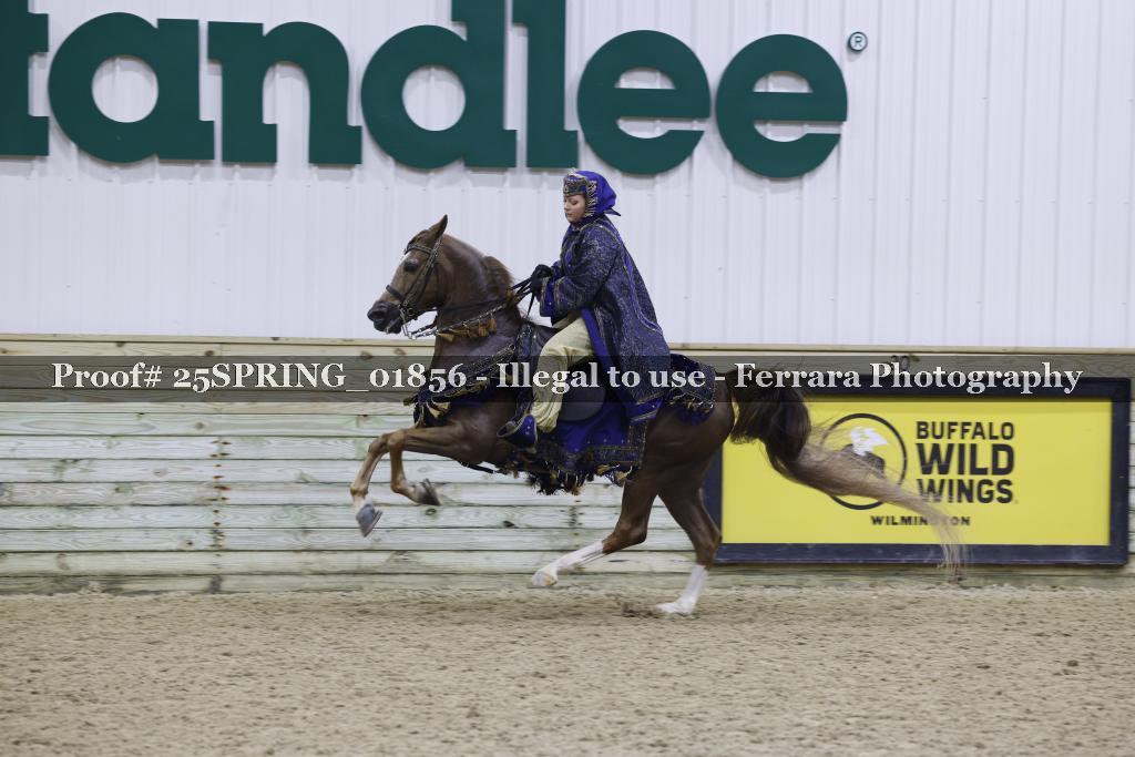 Proof 25SPRING_01856