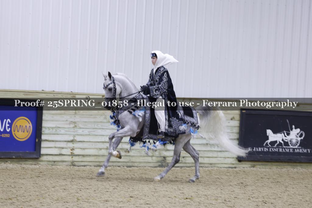 Proof 25SPRING_01858