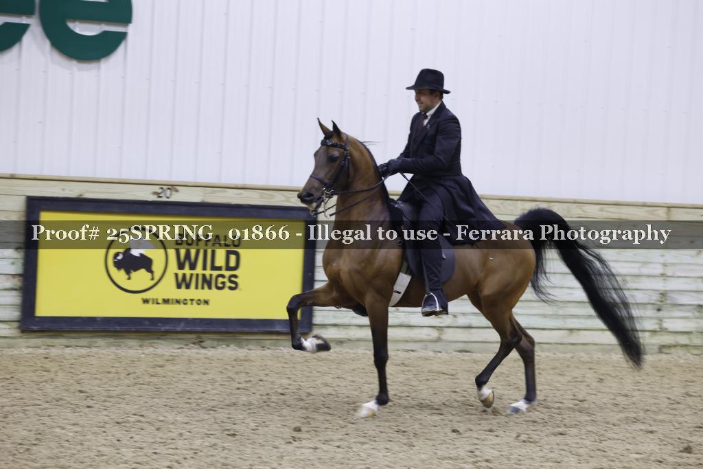 Proof 25SPRING_01866