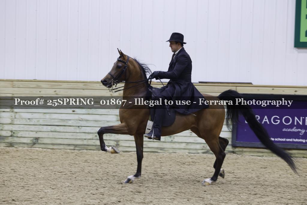 Proof 25SPRING_01867