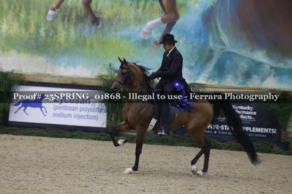 Proof 25SPRING_01868