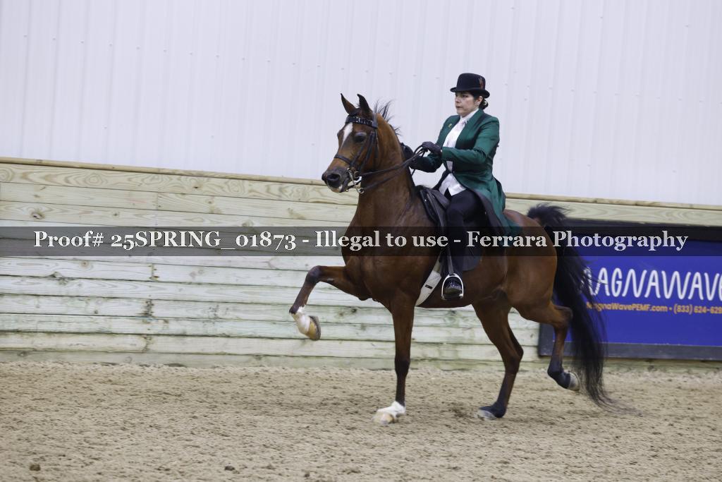 Proof 25SPRING_01873
