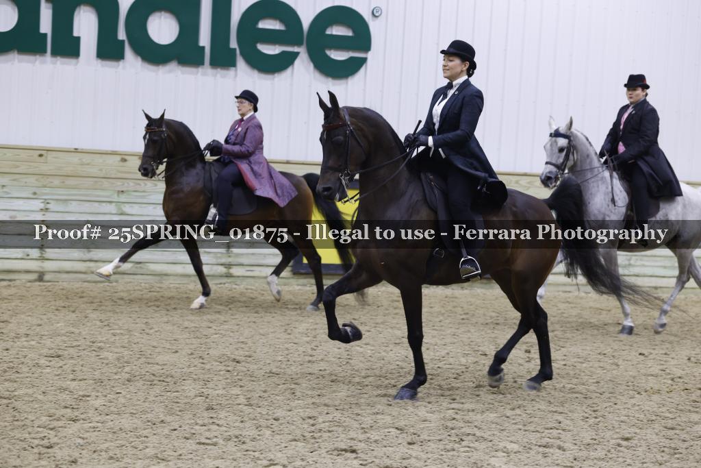 Proof 25SPRING_01875