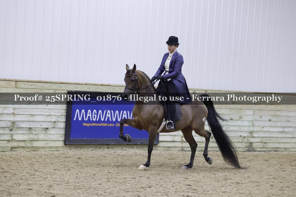 Proof 25SPRING_01876