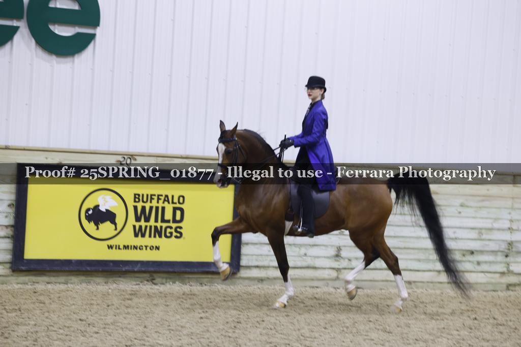 Proof 25SPRING_01877