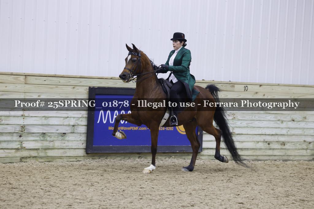 Proof 25SPRING_01878