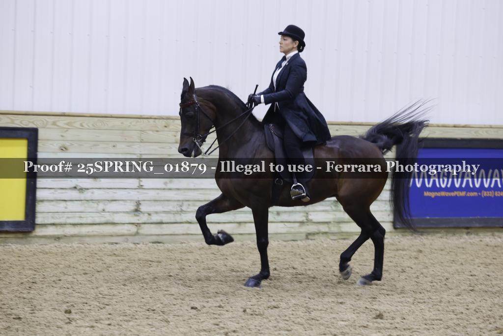 Proof 25SPRING_01879